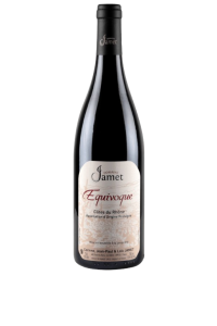 COTES DU RHONE-DOMAINE JAMET-EQUIVOQUE-ROUGE-2020-75CL***