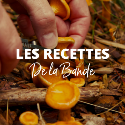 Recette de la bande - la girolle