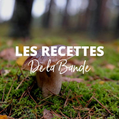 Recette de la bande - le cèpe