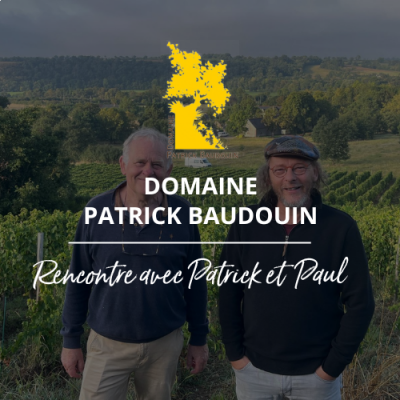 INTERVIEW DOMAINE PATRICK BAUDOUIN