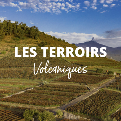 Terroirs Volcaniques