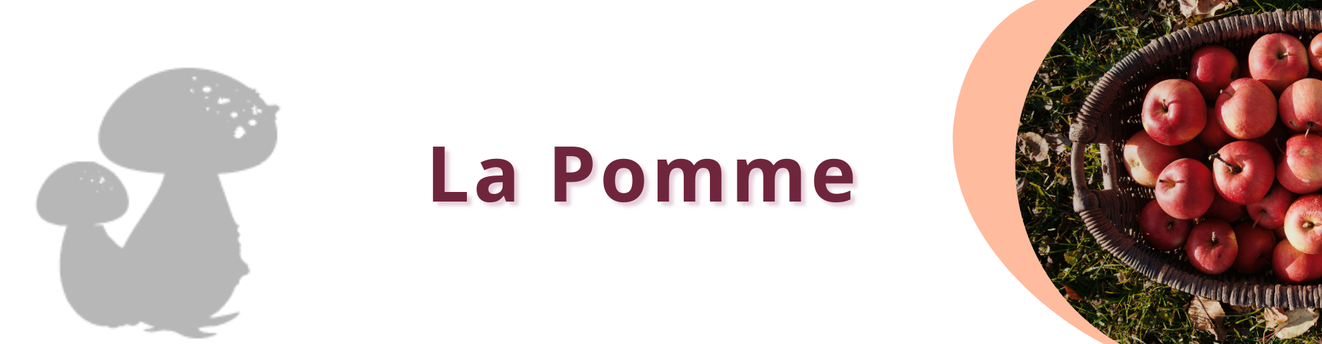 la pomme 